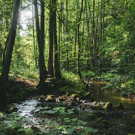 Feriehus Na Potoku Dolní Brusnice
